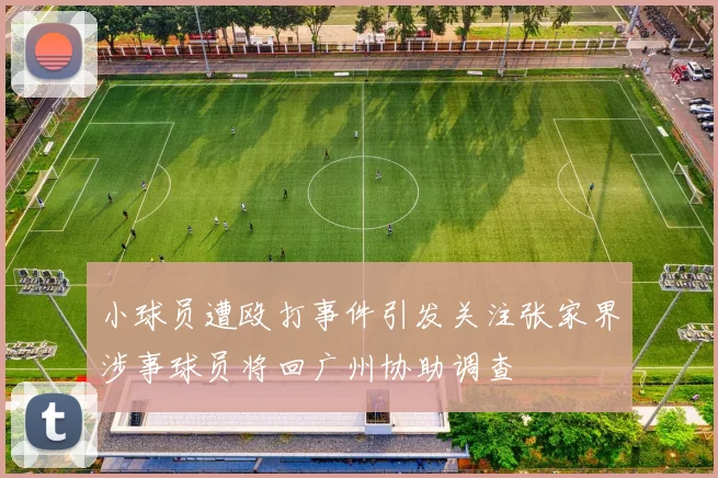 小球员遭殴打事件引发关注张家界涉事球员将回广州协助调查