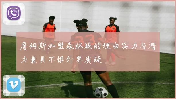 詹姆斯加盟森林狼的理由实力与潜力兼具不惧外界质疑