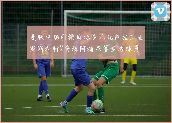 曼联中场引援目标多元化包括亚当斯斯科特M费琼阿梅尼等多名球员